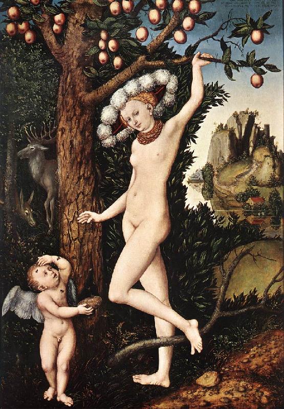 CRANACH, Lucas the Elder Cupid Complaining to Venus df